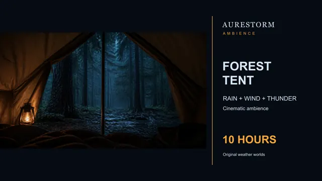 Rain on a Forest Tent with Wind and Thunder for 10 Hours